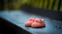 Imagen referencial. Cru00e9dito: Janko Ferliu010d / Unsplash.
