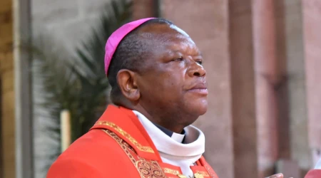Cardenal Fridolin Ambongo Fiducia supplicans 20012024