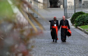 Cardenales en el Vaticano de camino a la Congregación General este 29 de abril null